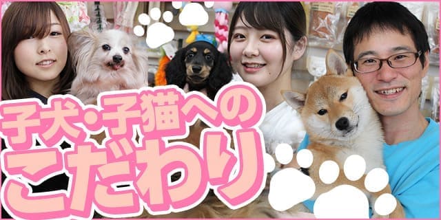 子犬・子猫へのこだわり